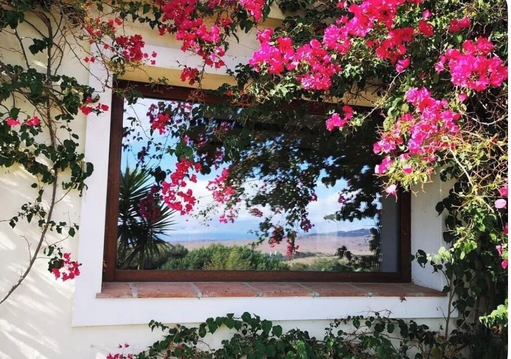Photo of Outdoor in Tarifa