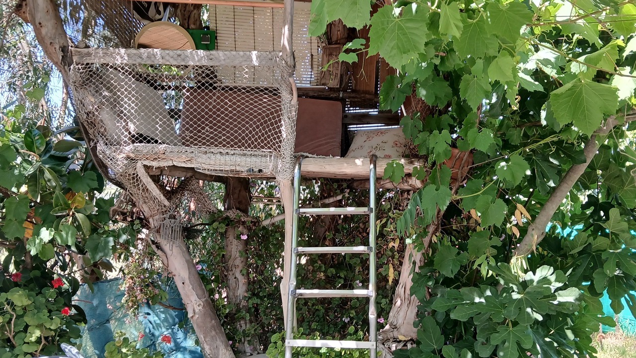 Photo of Outdoor in Gibraleon