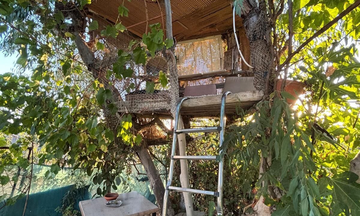 Photo of Outdoor in Gibraleon