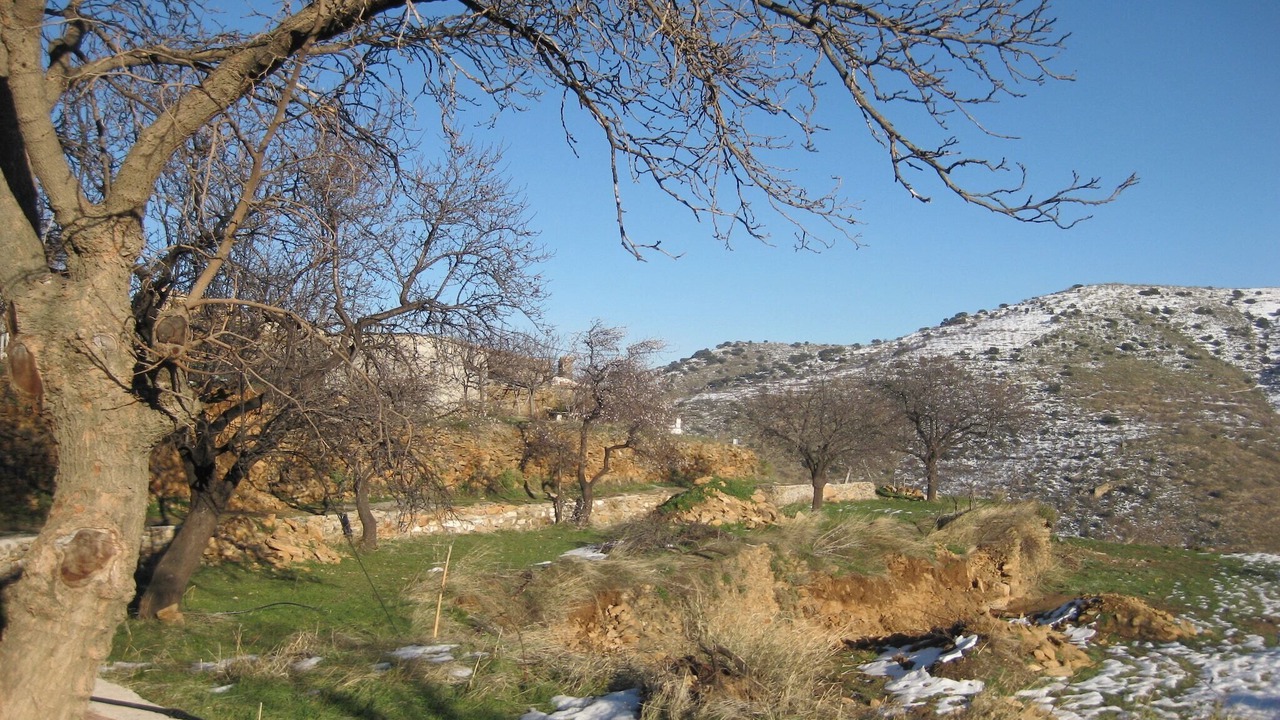 Photo of Others in Laroya