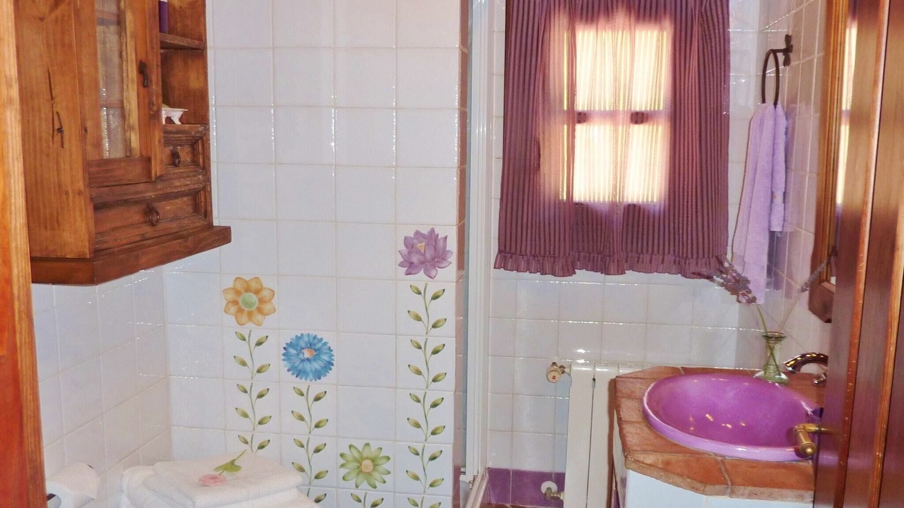Photo of Bathroom in Antequera