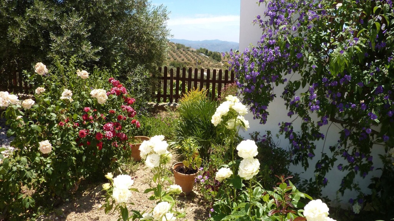 Photo of Outdoor in Antequera