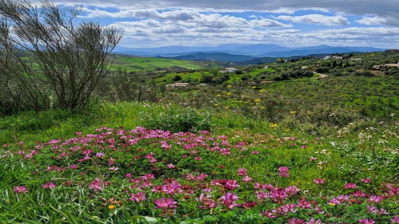 Photo of Others in Antequera
