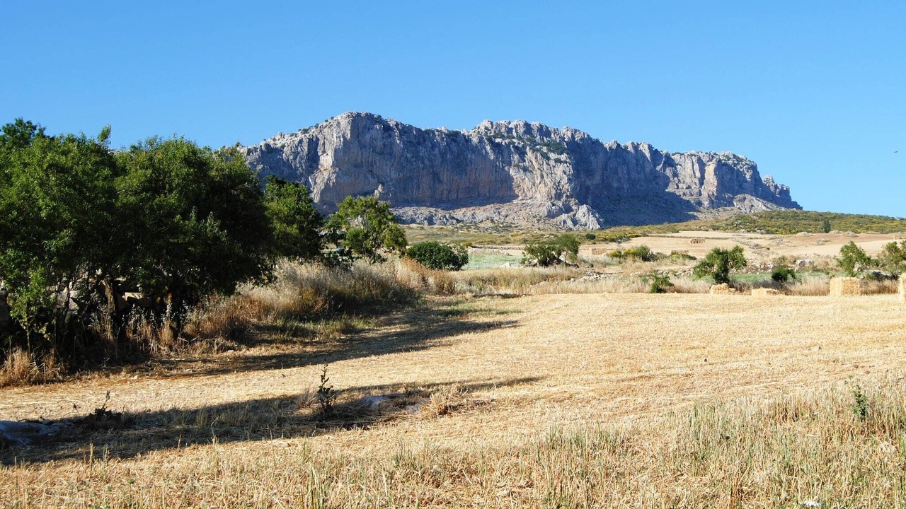 Photo of Others in Antequera
