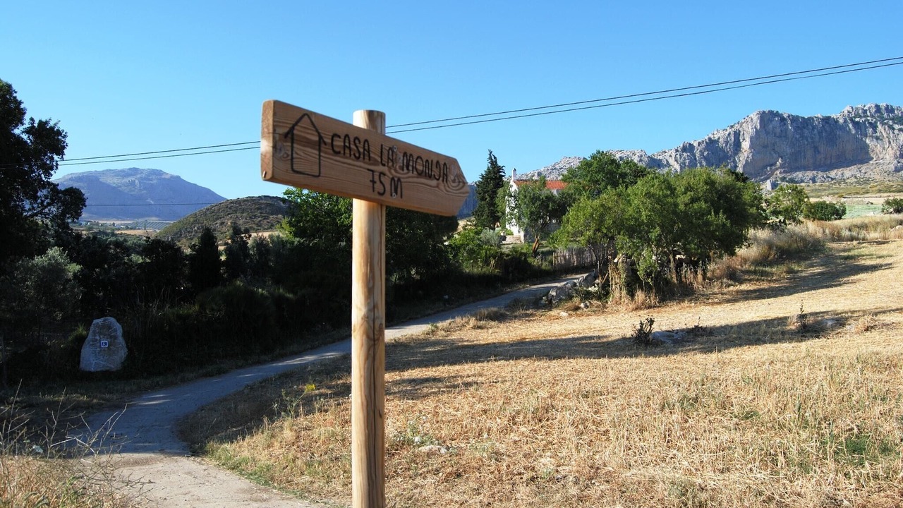 Photo of Others in Antequera