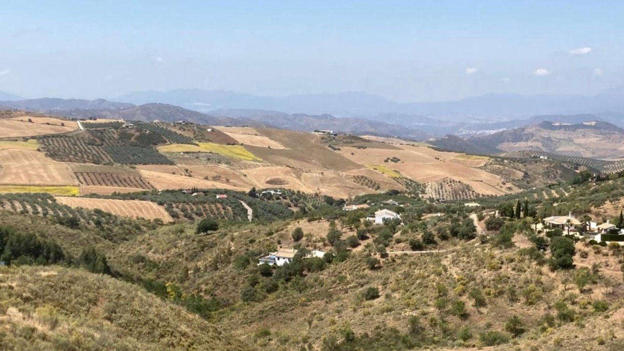 Photo of Others in Antequera