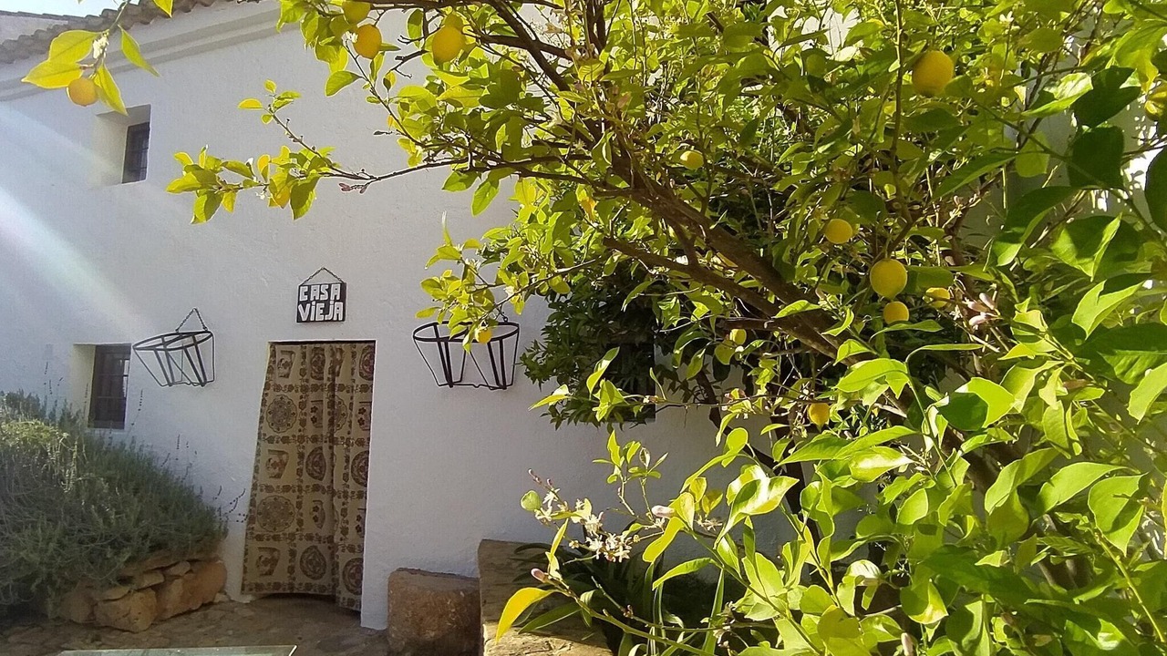 Photo of Outdoor in Algarinejo
