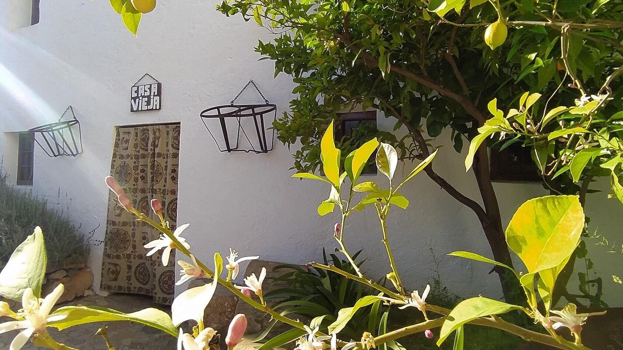 Photo of Outdoor in Algarinejo