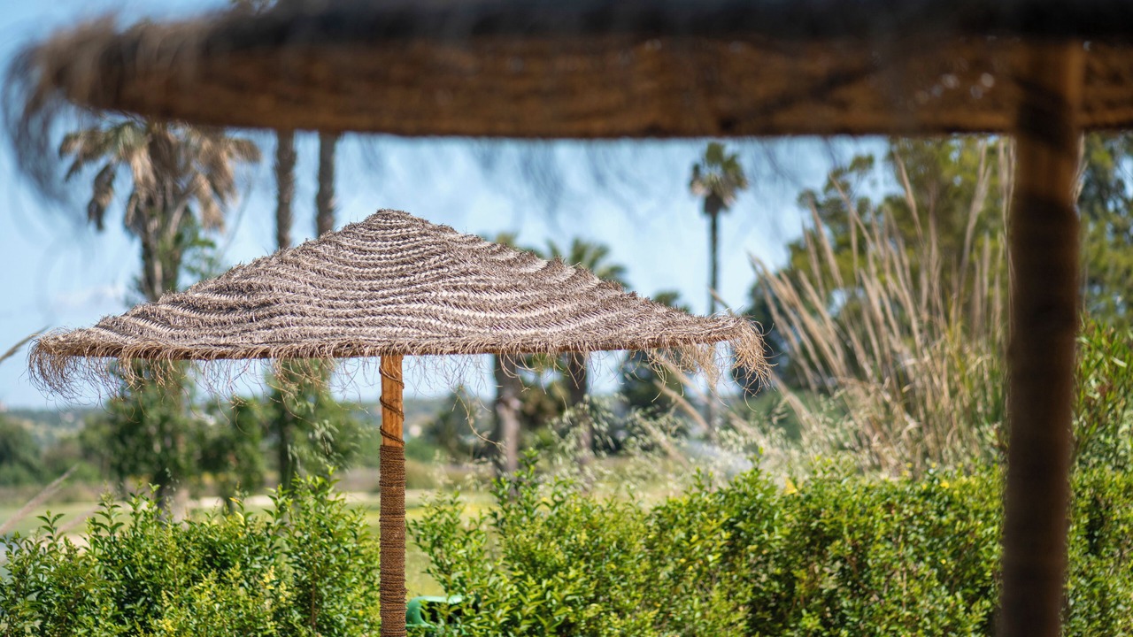 Photo of Others in Ayamonte