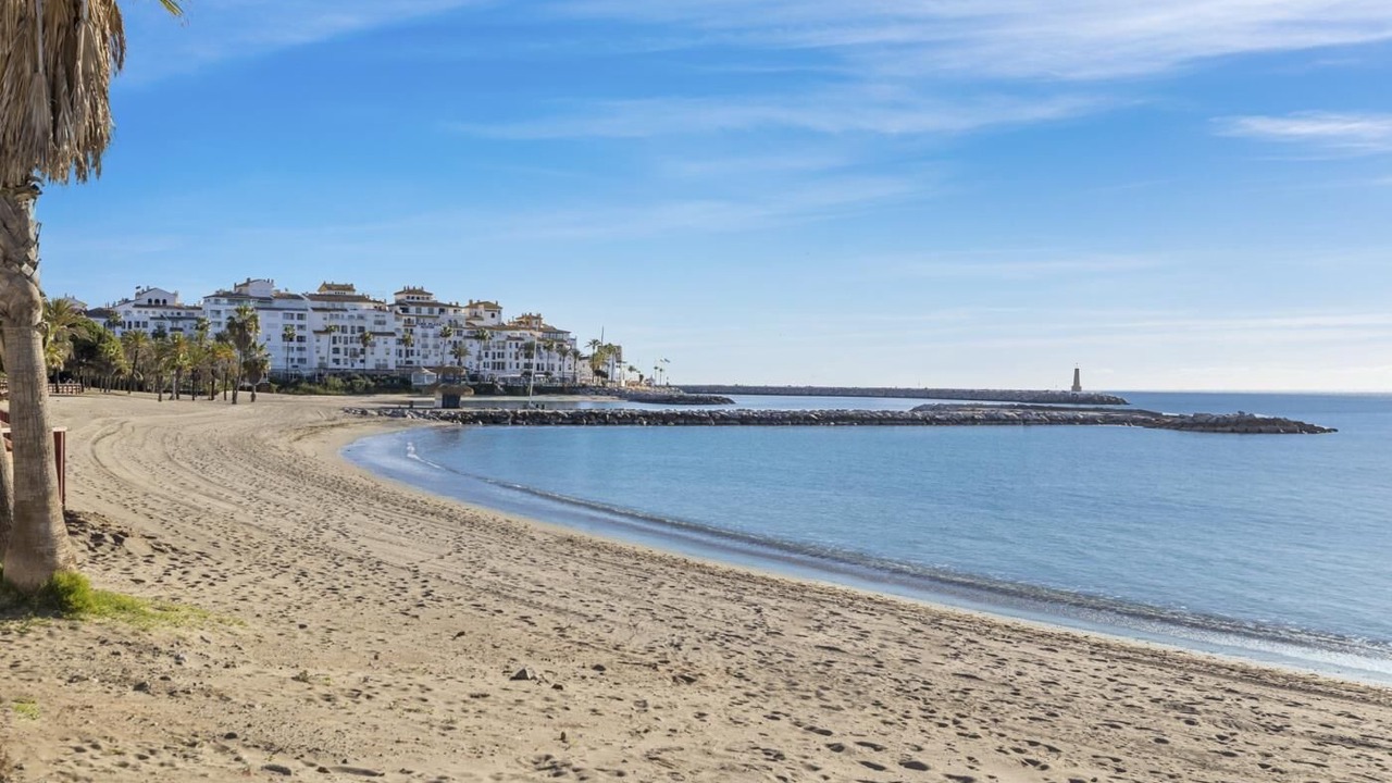 Photo of Others in Puerto Banus