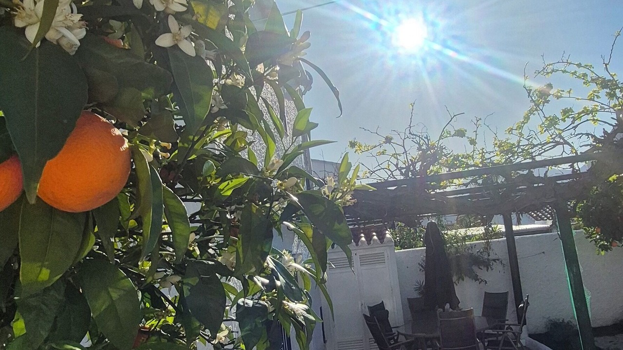 Photo of Patio Balcony in Pizarra