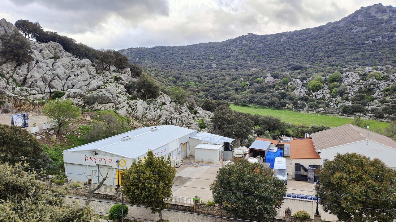 Photo of Outdoor in Villaluenga del Rosario