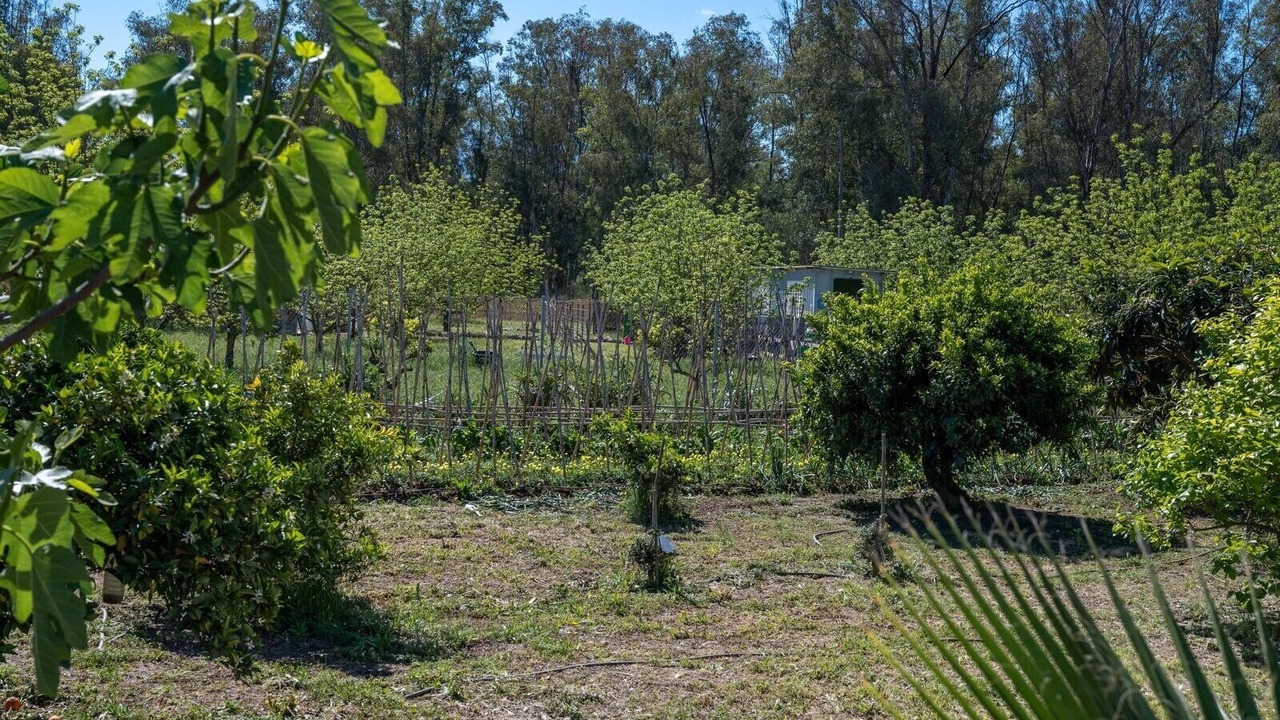 Photo of Outdoor in Coin