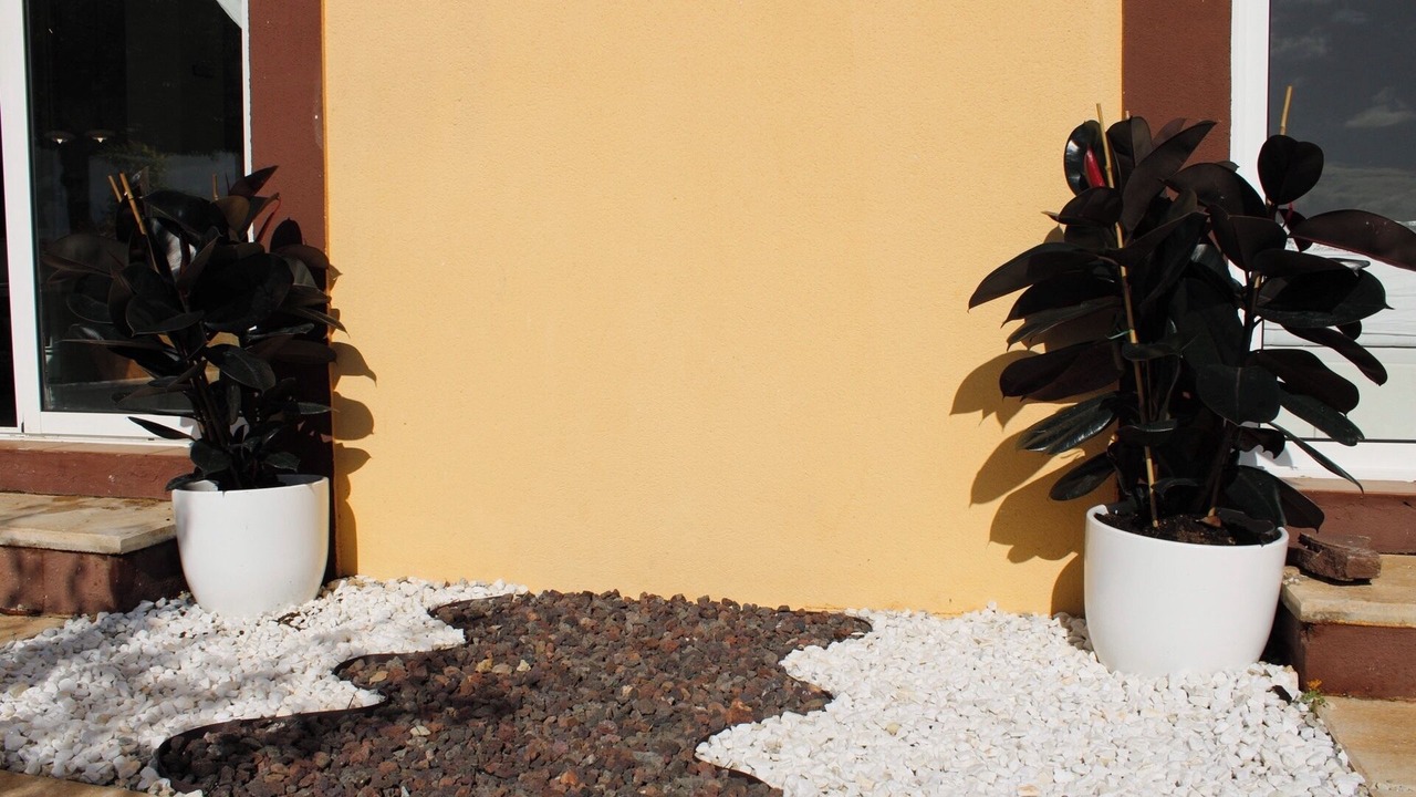 Photo of Outdoor in Almerimar