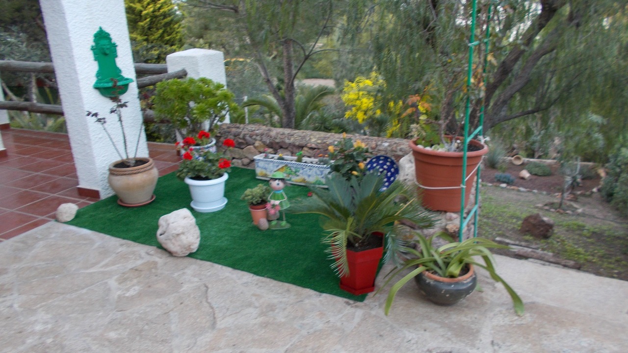 Photo of Outdoor in Las Negras