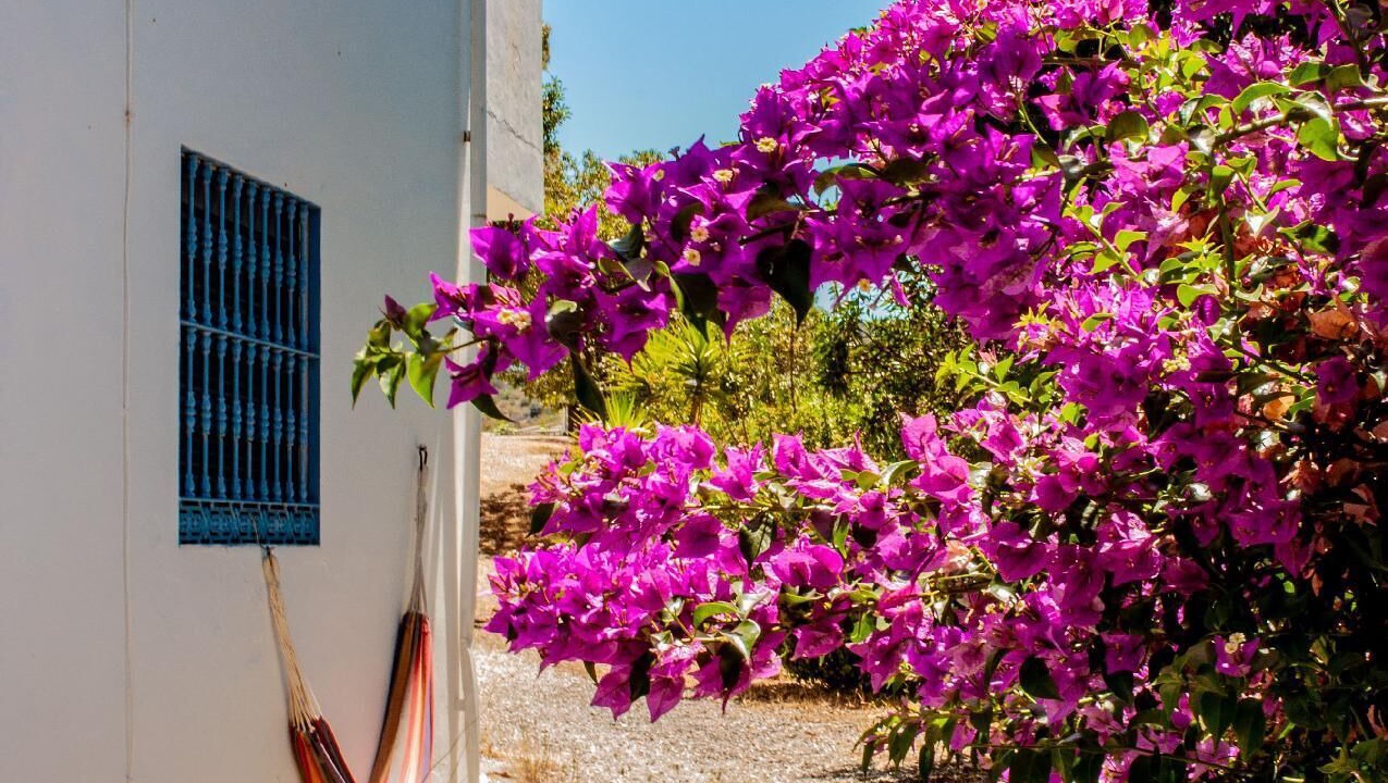 Photo of Outdoor in Guaro