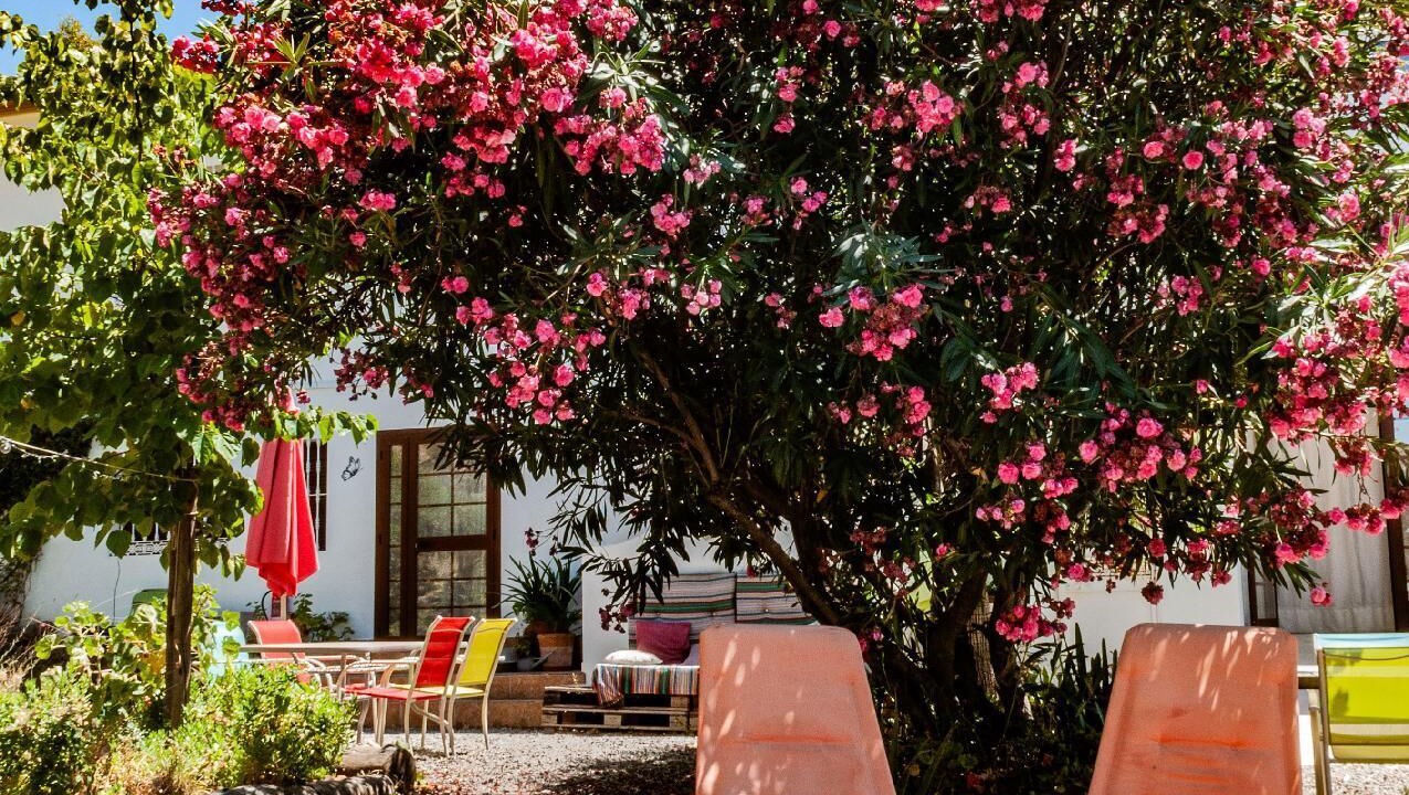 Photo of Patio Balcony in Guaro