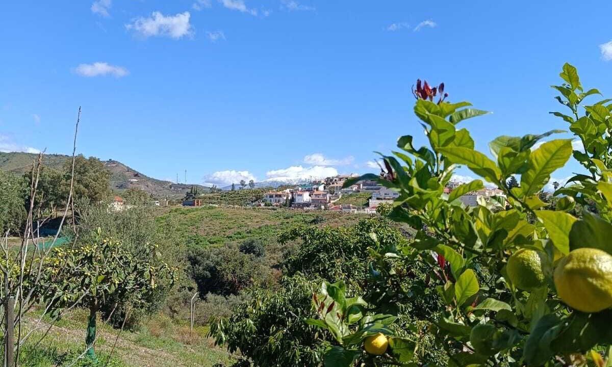 Photo of Others in Benajarafe