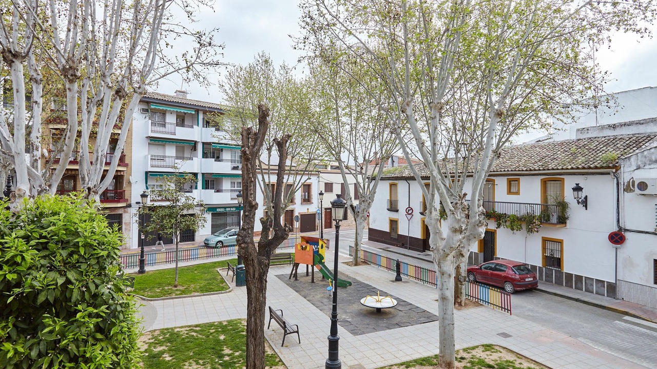 Photo of Outdoor in Andujar