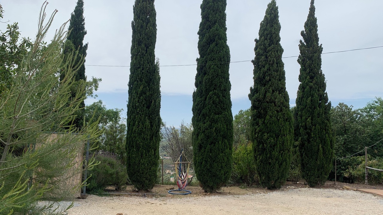 Photo of Outdoor in Alcaucin