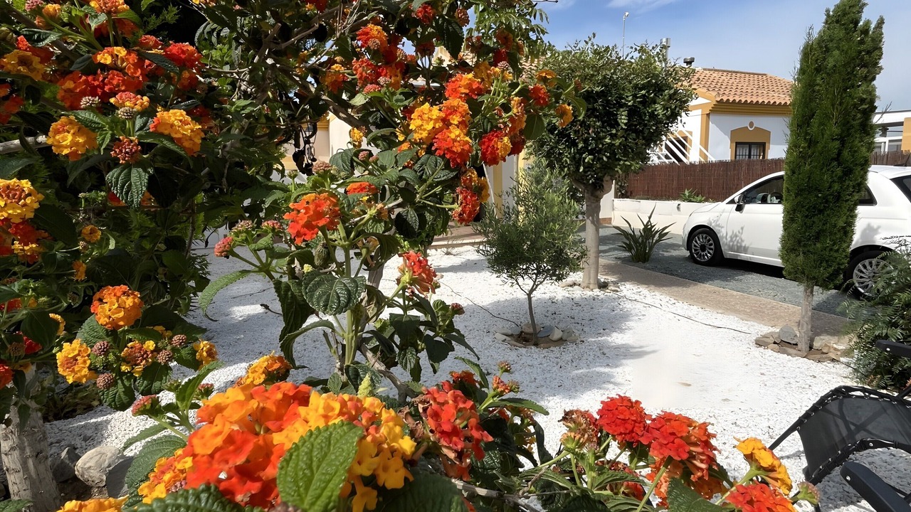 Photo of Outdoor in Mazarron
