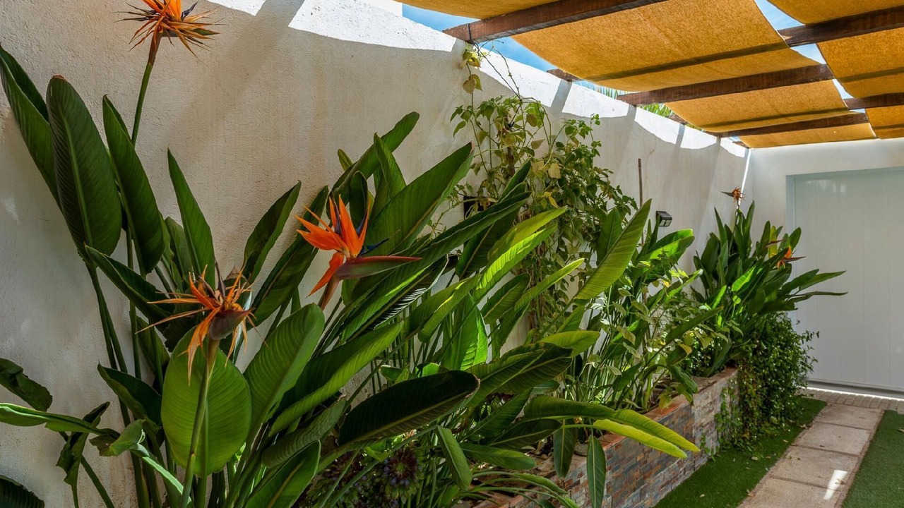 Photo of Outdoor in Rute