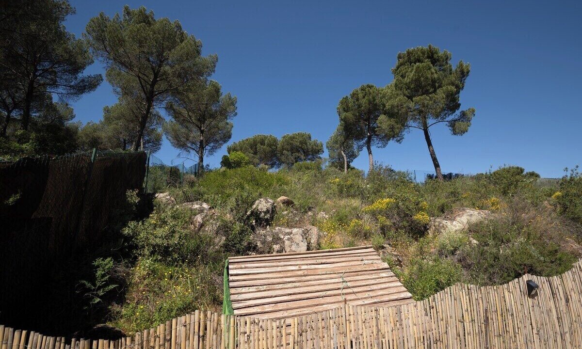 Photo of Outdoor in Las Jaras