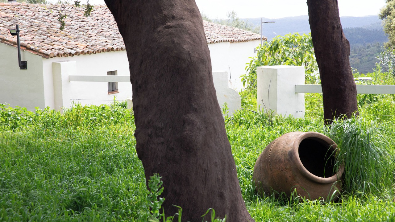 Photo of Outdoor in Higuera de la Sierra