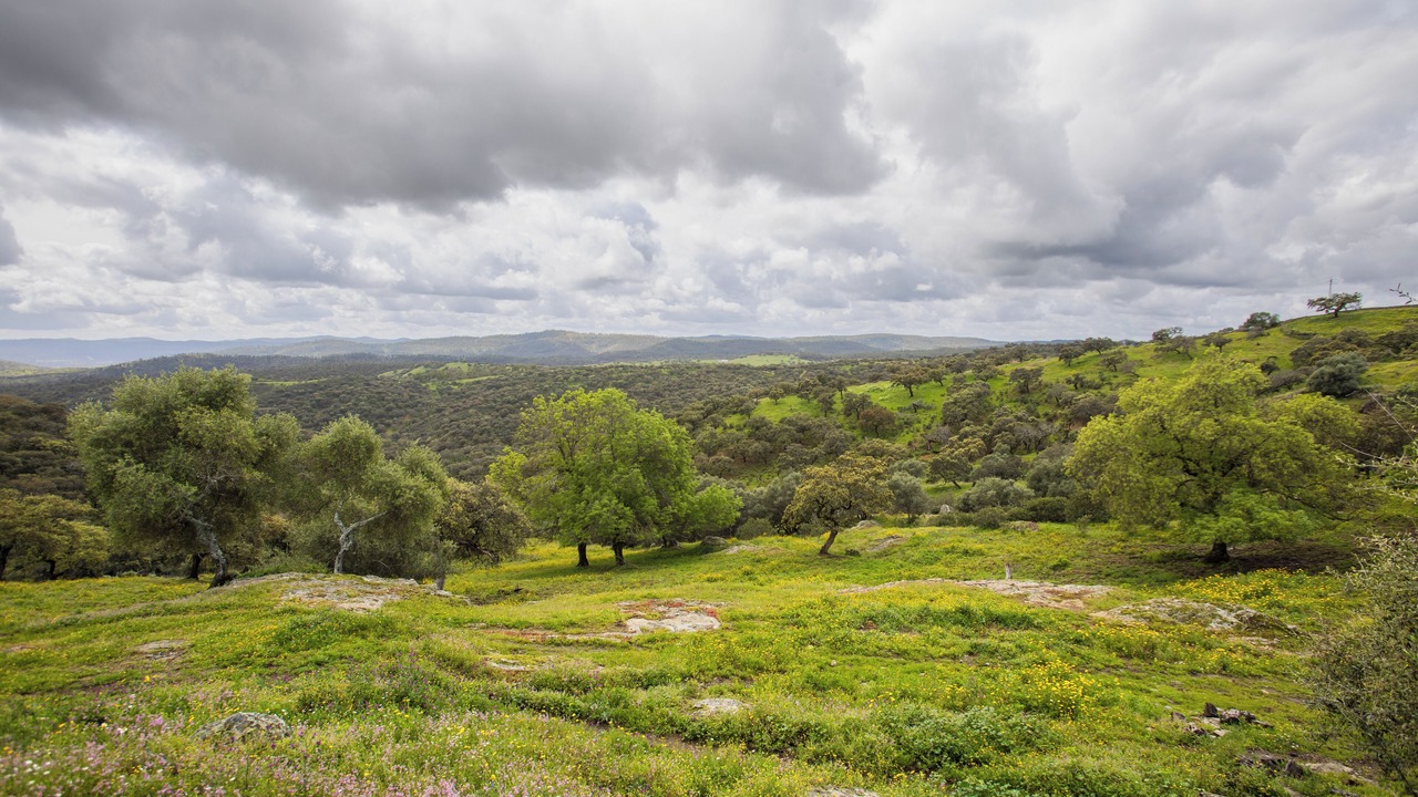 Photo of Others in Higuera de la Sierra