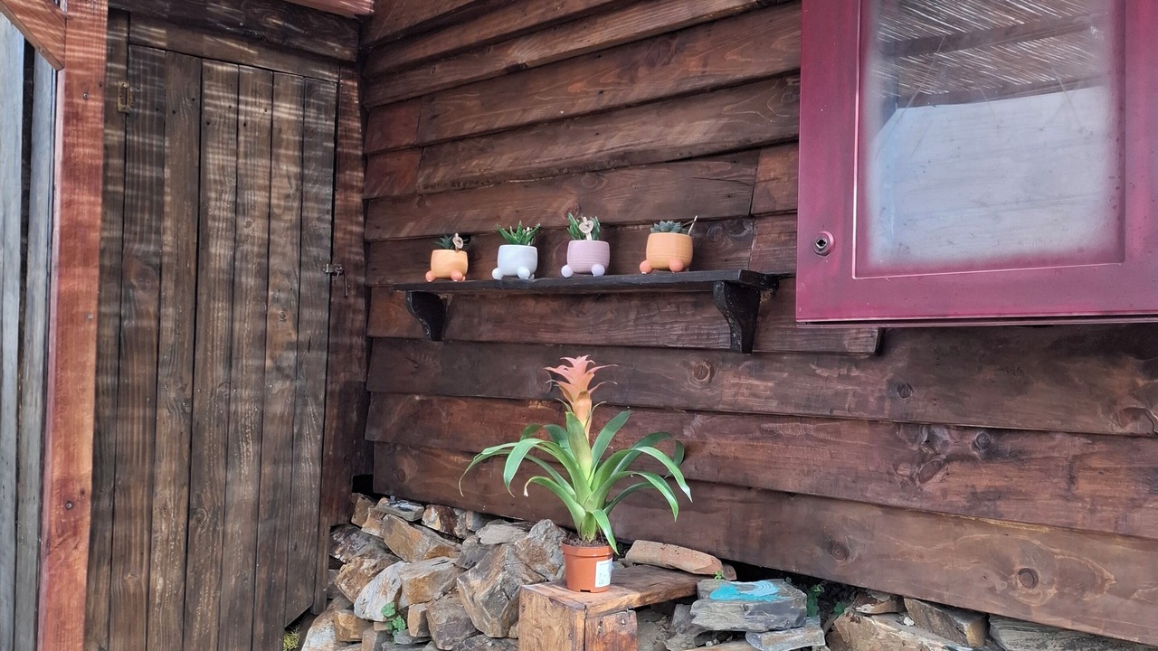 Photo of Outdoor in Rincon de la Victoria
