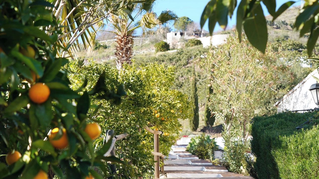 Photo of Outdoor in El Borge