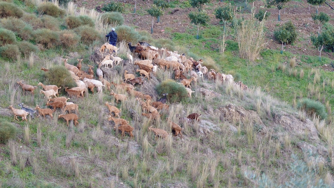 Photo of Others in El Borge