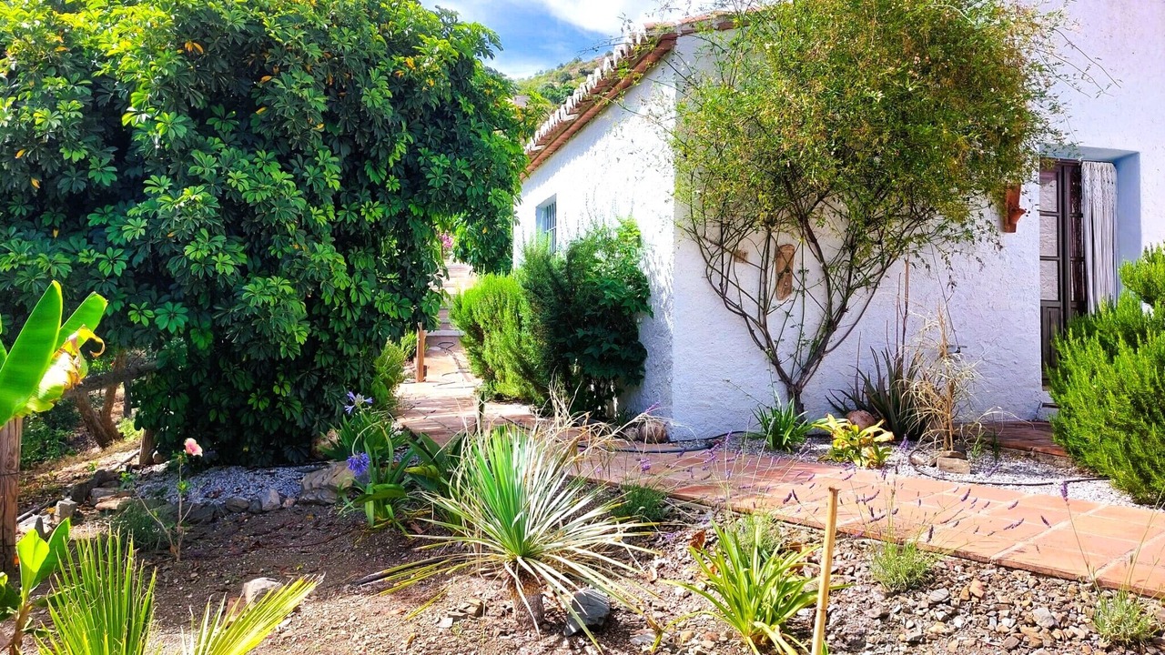 Photo of Outdoor in El Borge