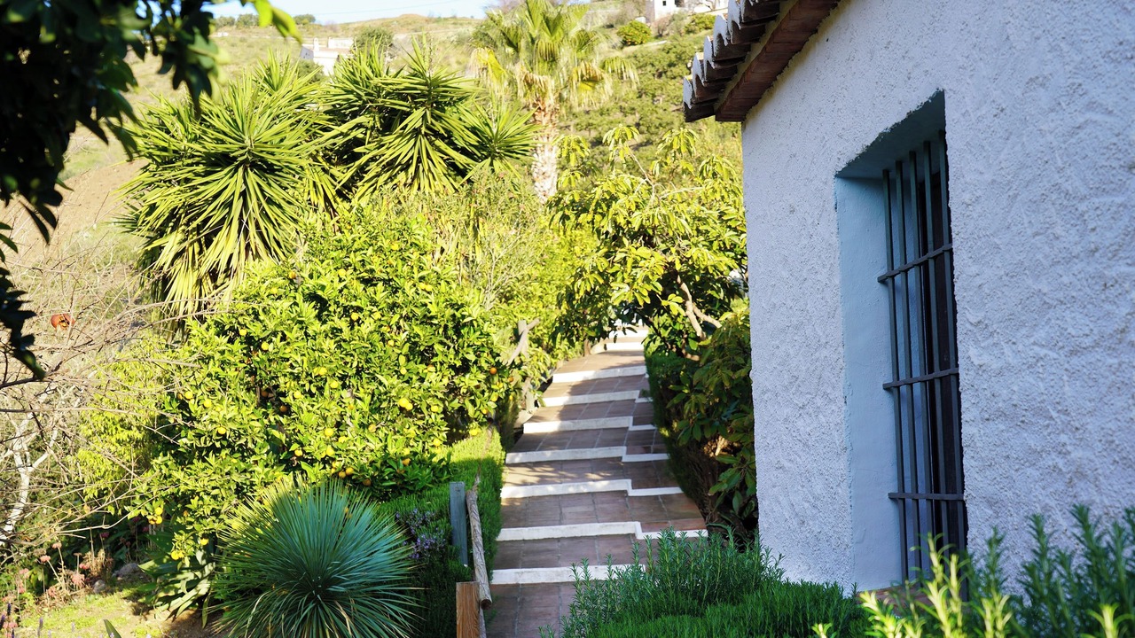 Photo of Outdoor in El Borge
