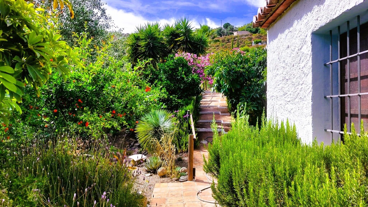 Photo of Outdoor in El Borge