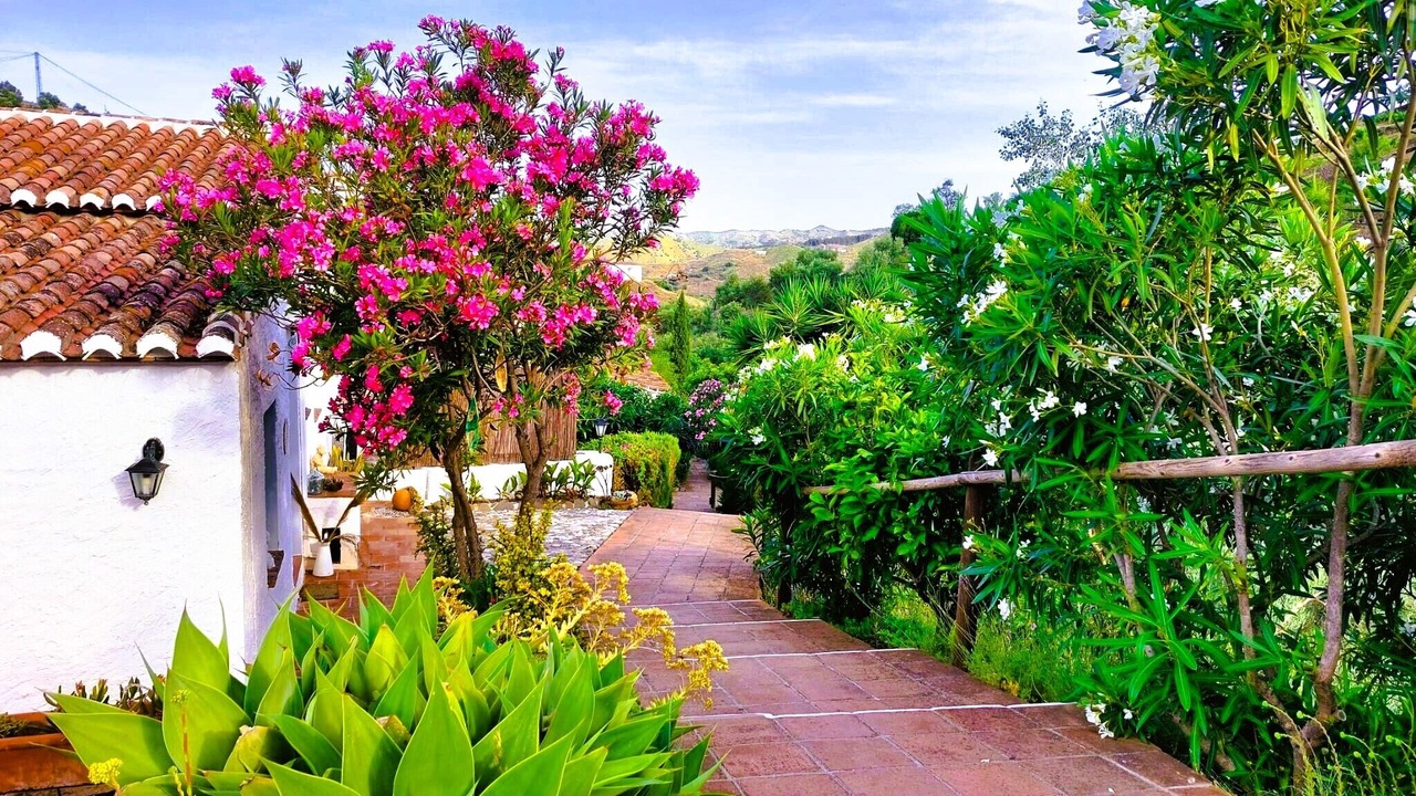 Photo of Outdoor in El Borge