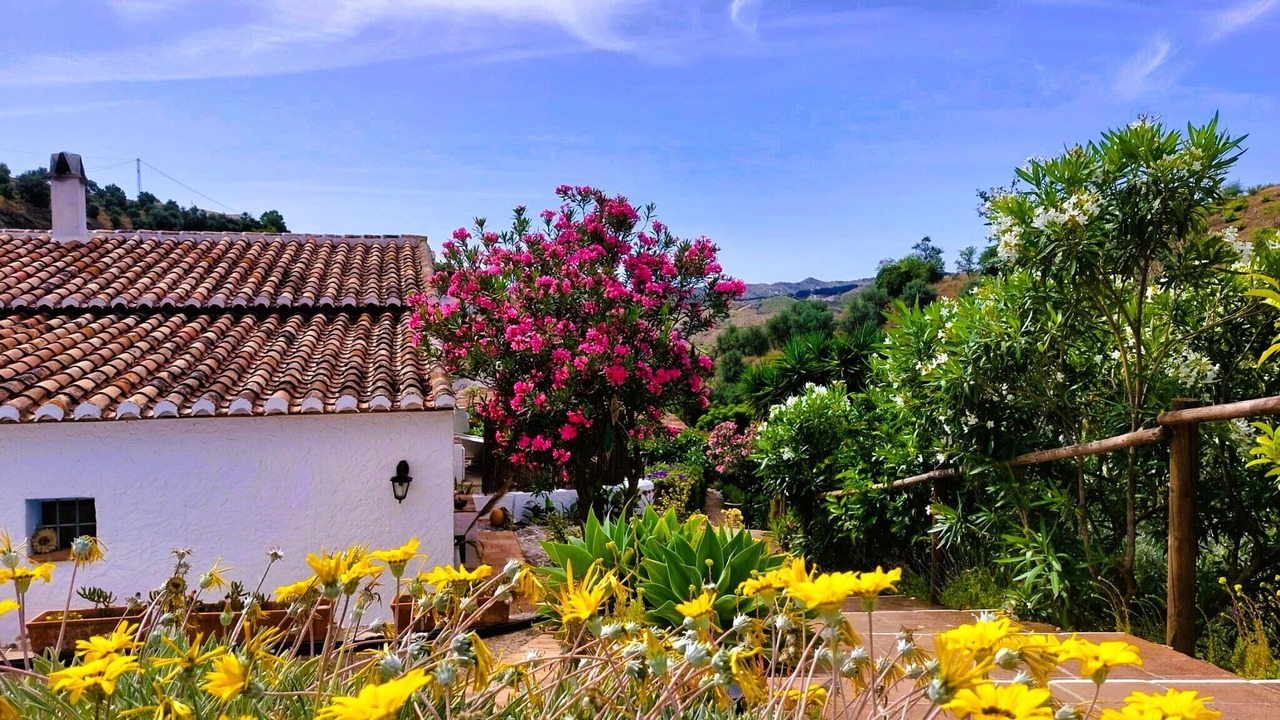 Photo of Outdoor in El Borge