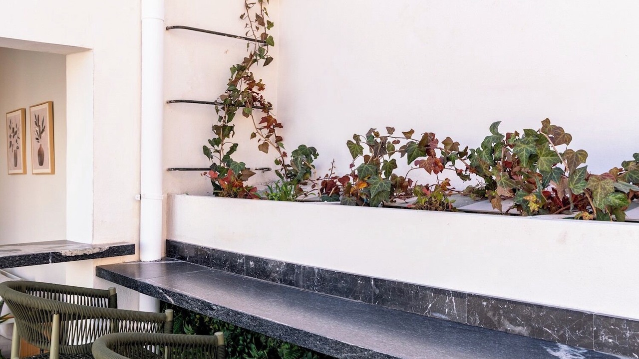 Photo of Outdoor in Historical Center