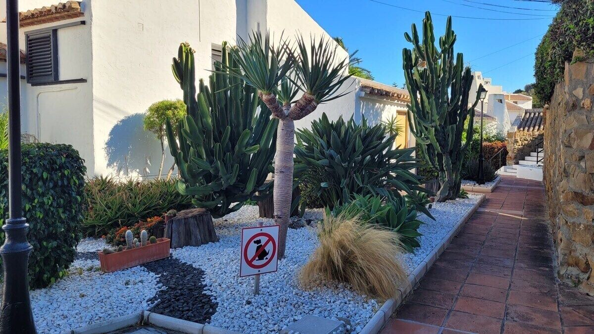 Photo of Outdoor in Bahia Dorada