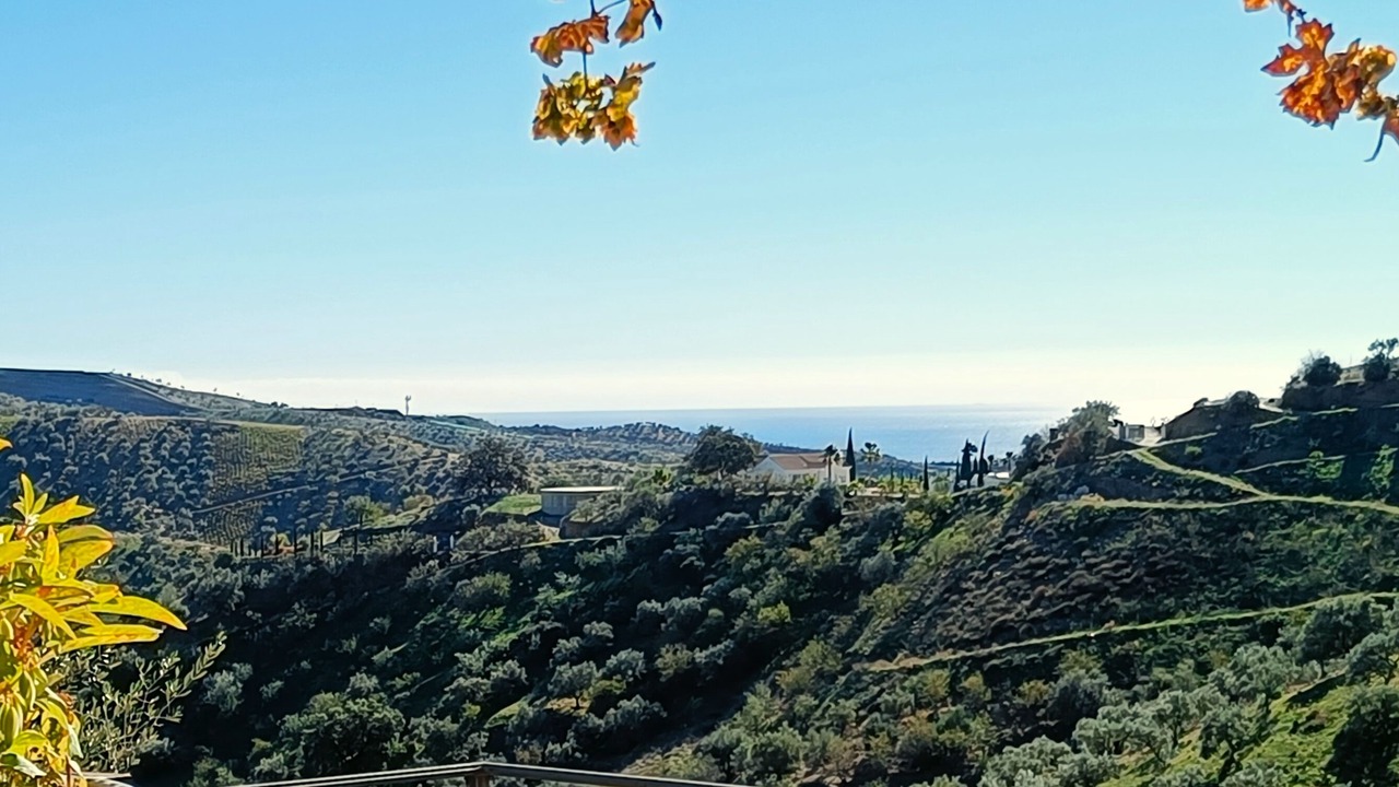 Photo of Outdoor in Moclinejo