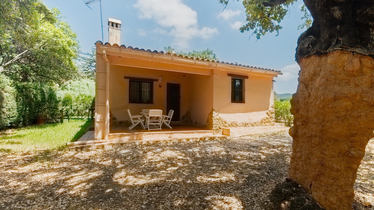 Photo of Outdoor in Alajar