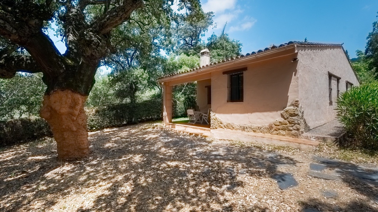 Photo of Outdoor in Alajar