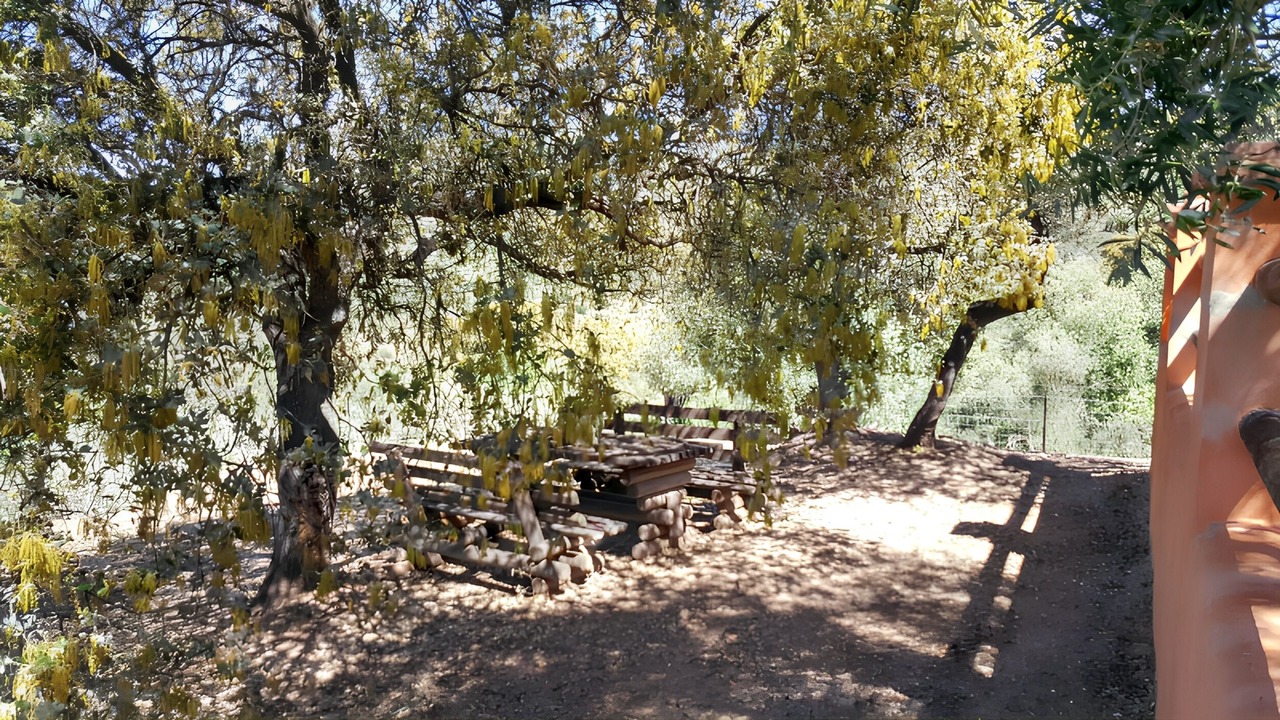 Photo of Outdoor in Puerto Serrano