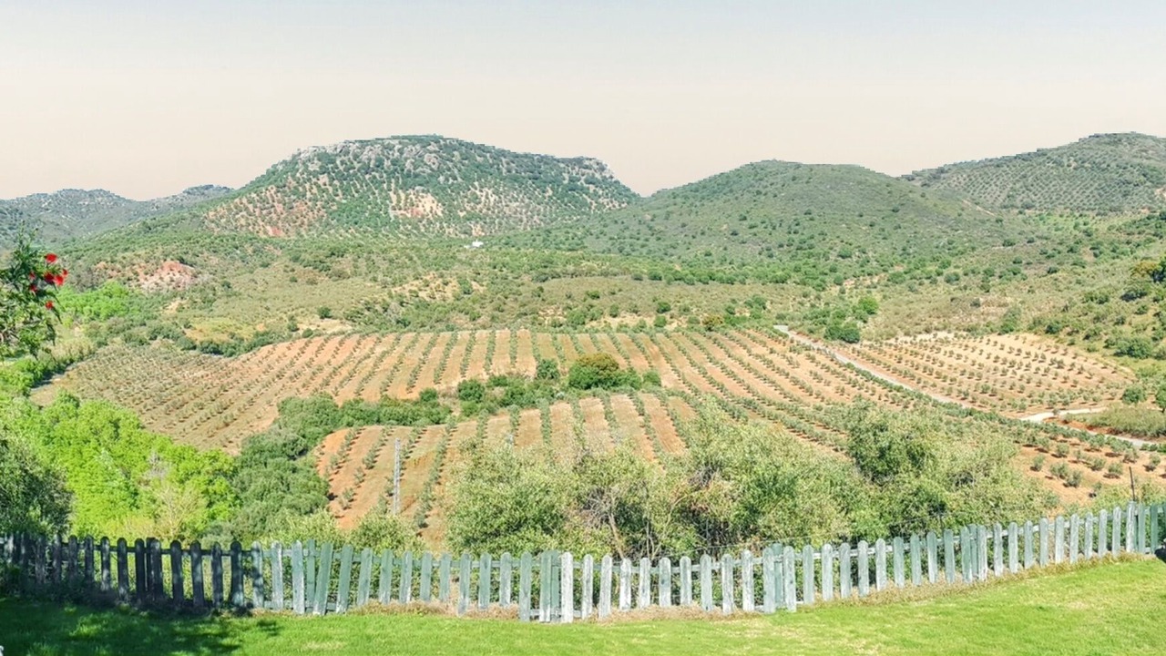 Photo of Others in Puerto Serrano