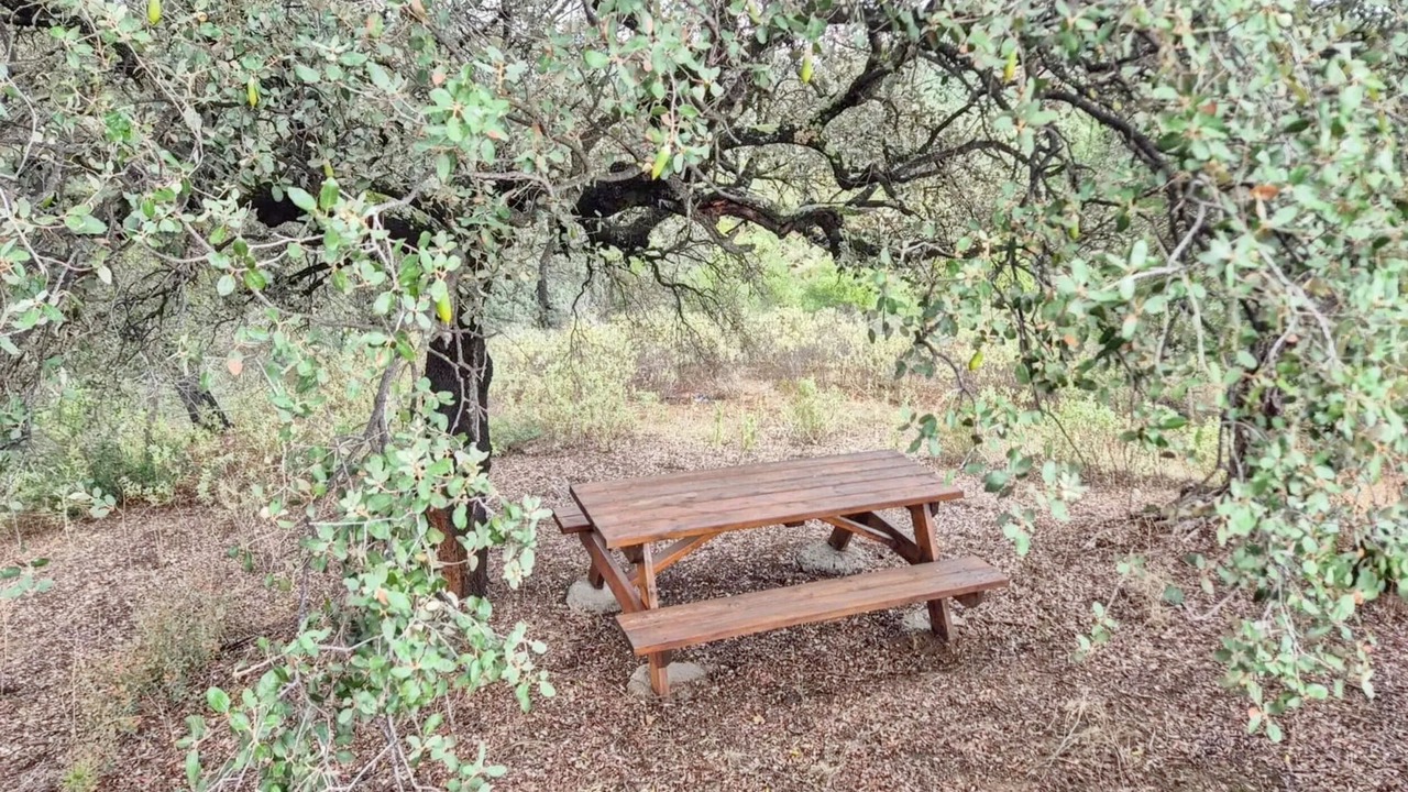 Photo of Outdoor in Puerto Serrano