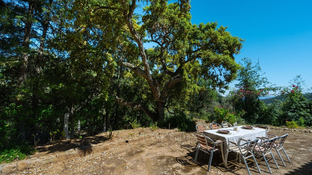 Photo of Outdoor in Calabazares