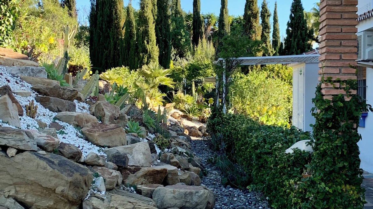 Photo of Outdoor in Alora