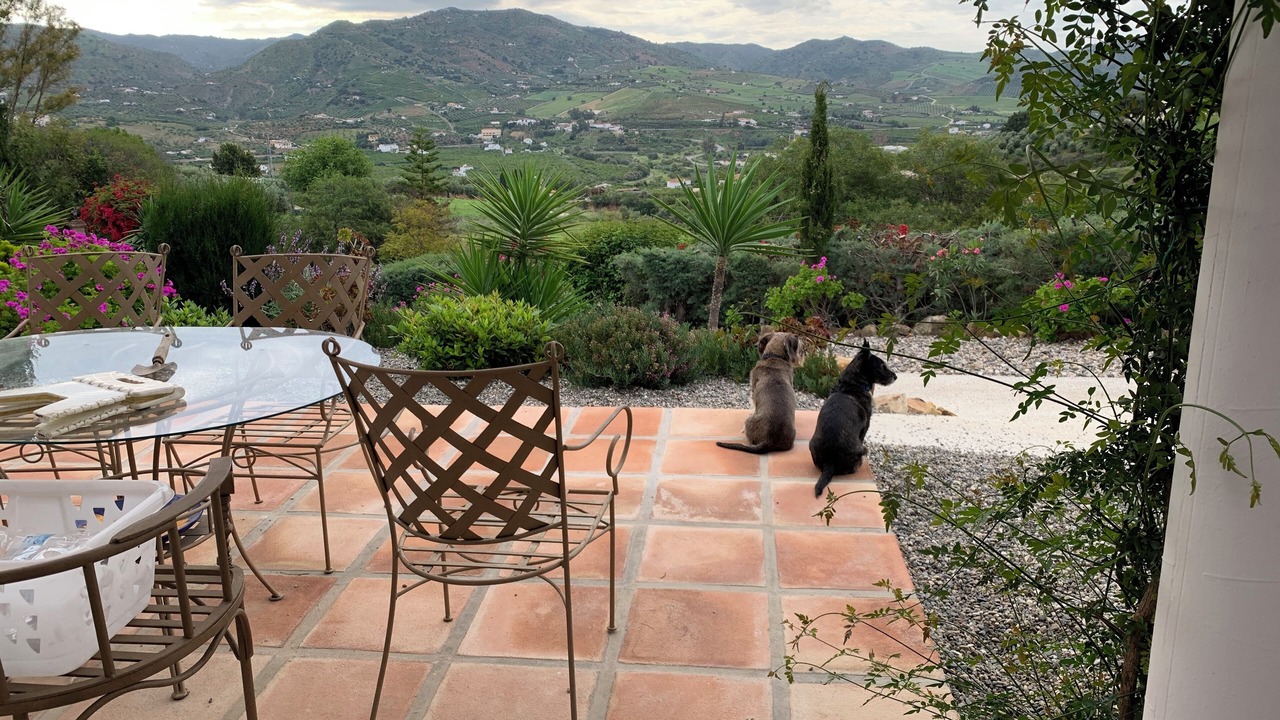 Photo of Outdoor in Alora