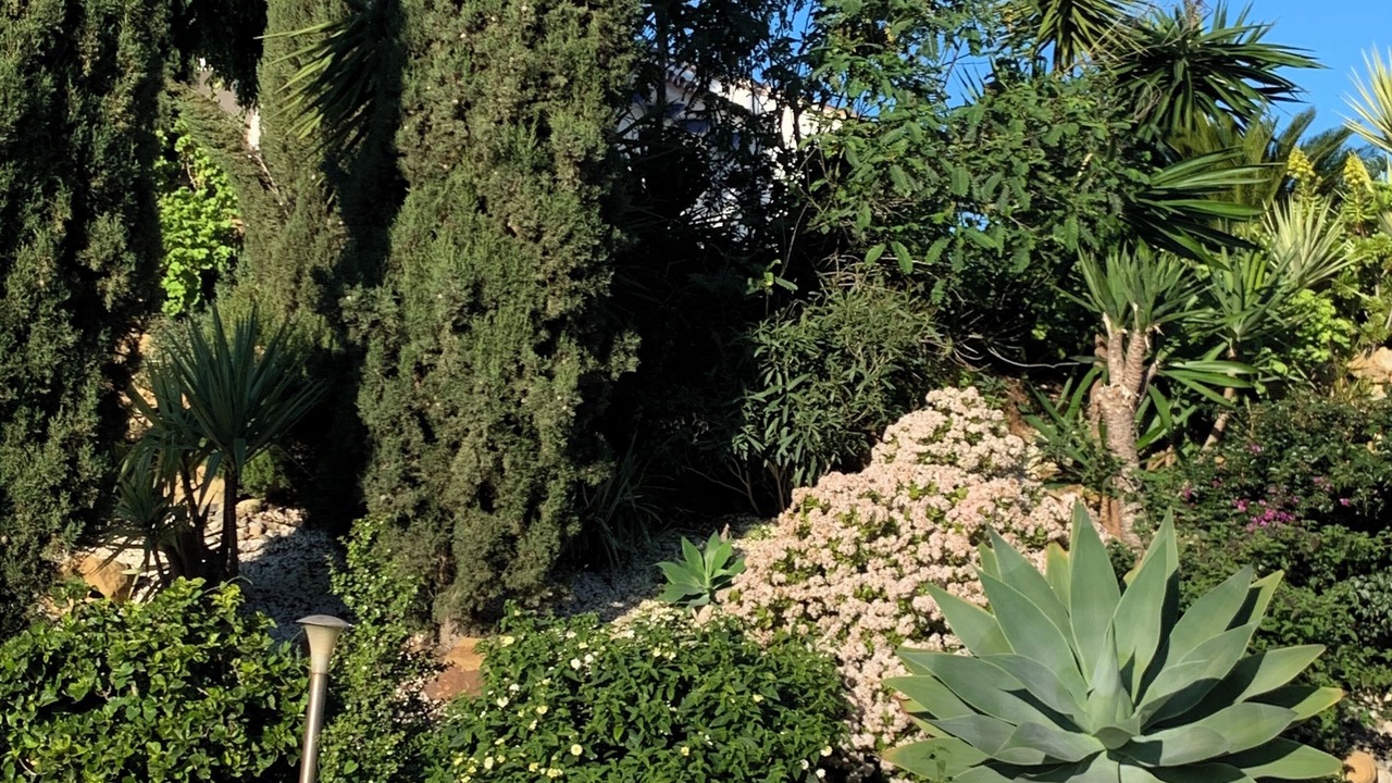 Photo of Outdoor in Alora