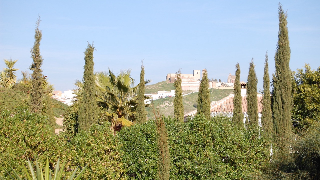Photo of Others in Alora
